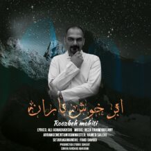 آهنگ جدید روزبه محیطی به نام ابر خوش باران